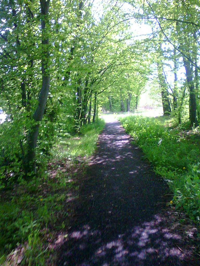 краєвид - Моршин