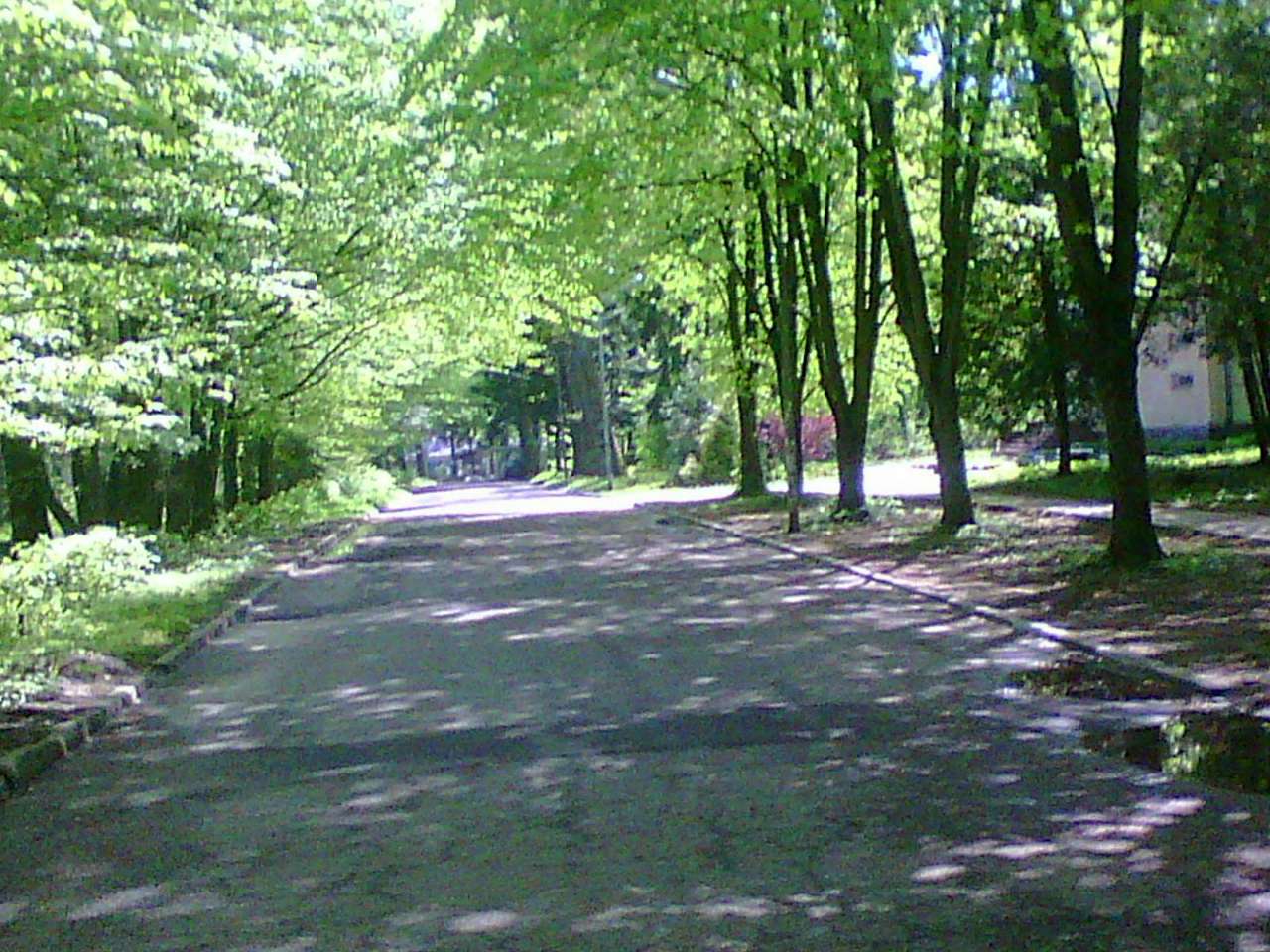 Парки - Моршин