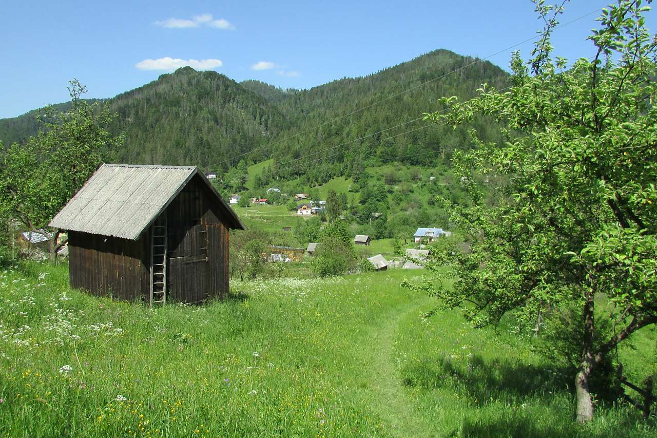 ЯВОРІВ КОСІВСЬКИЙ-ЦЕНТР ЛІЖНИКАРСТВА - Косів