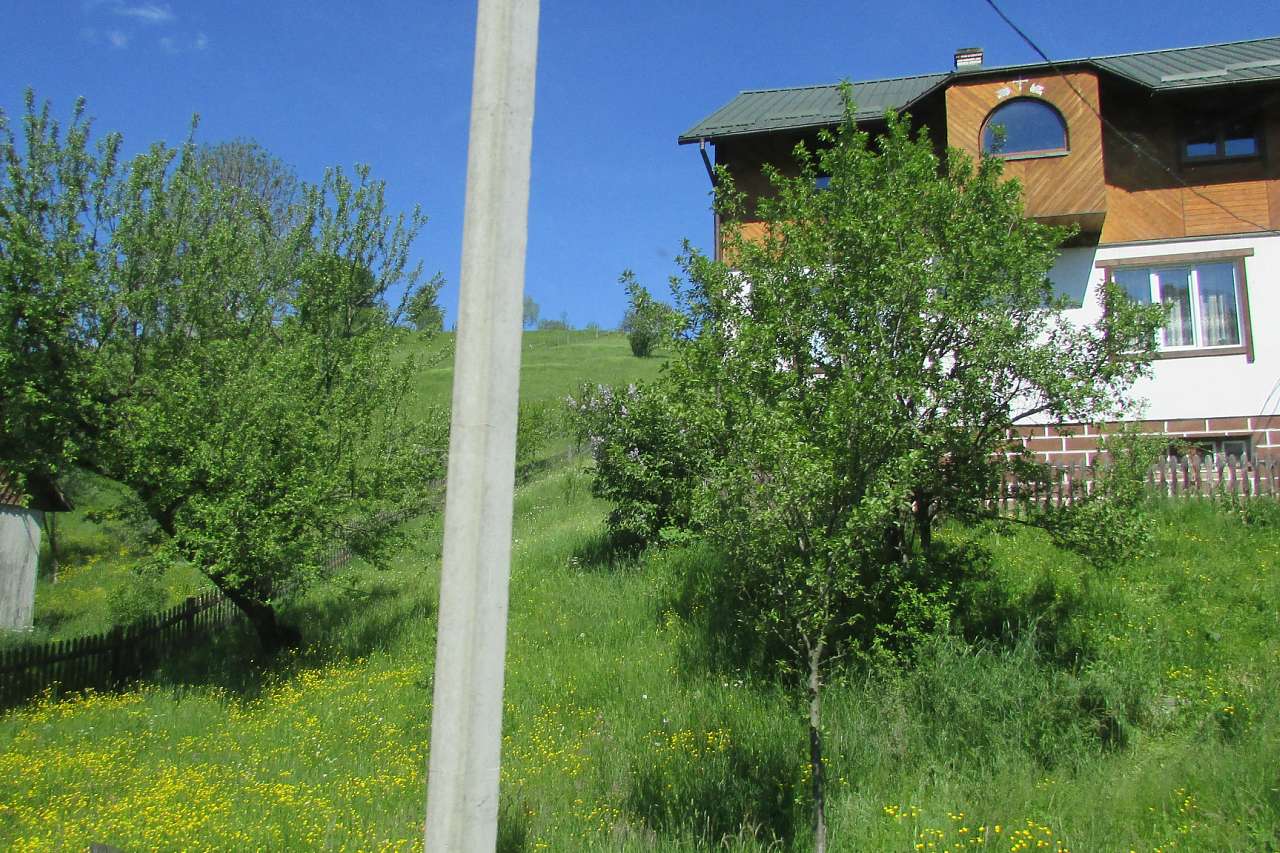 Лазещина - Лазещина