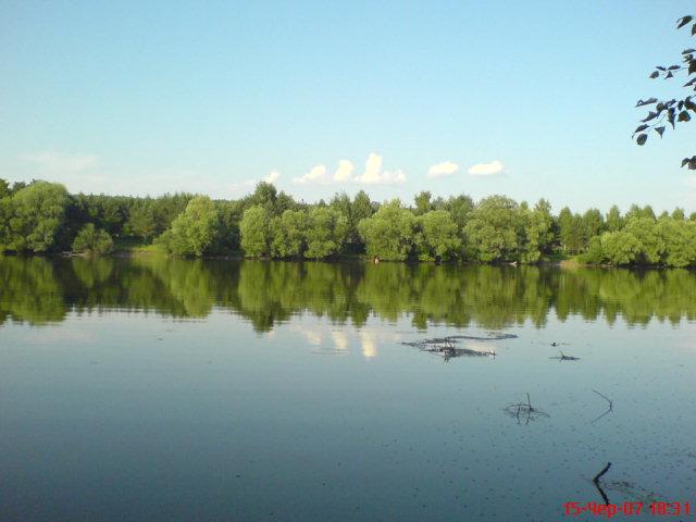 Збруч - Кокошинці