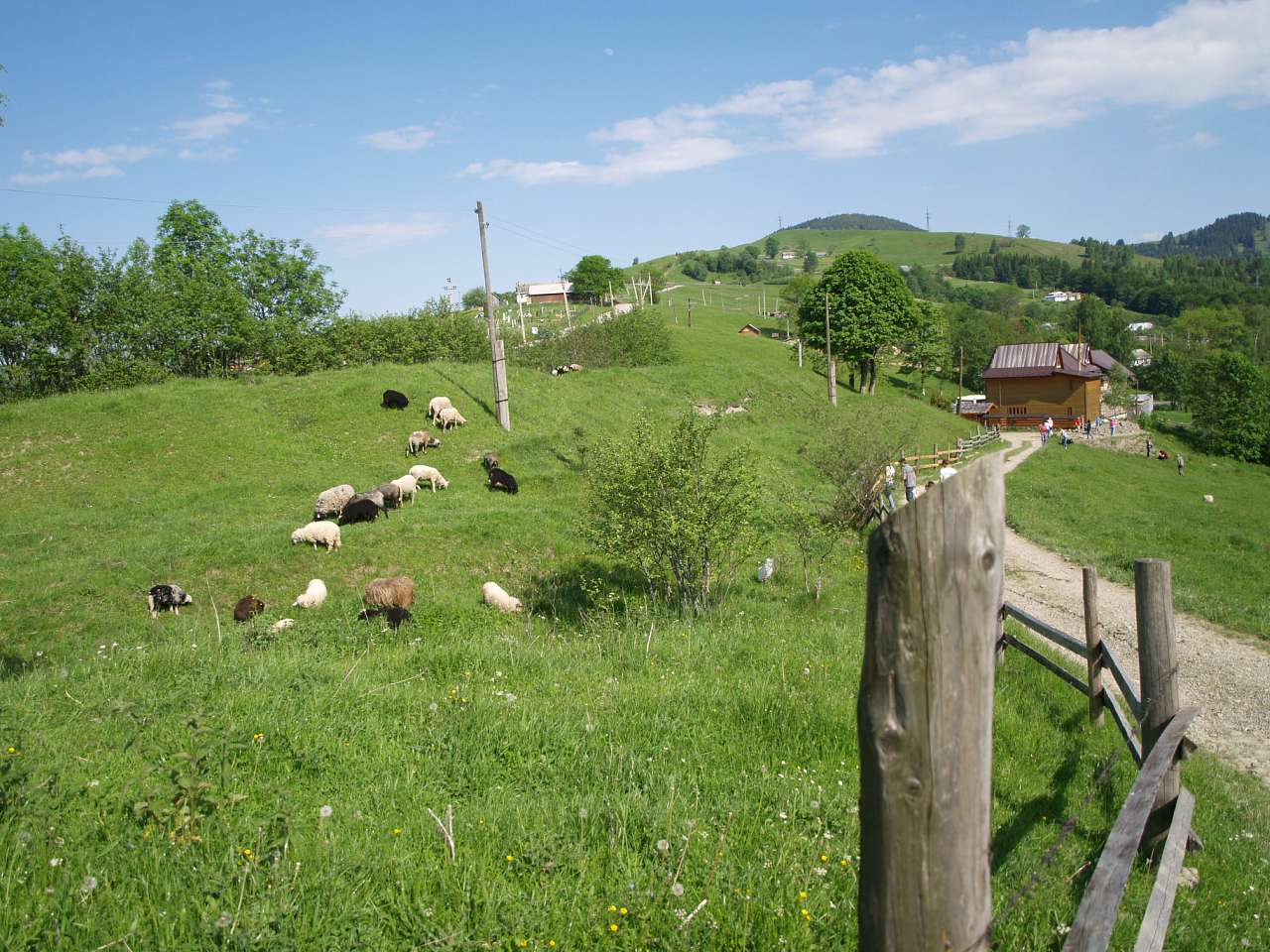 БУКОВЕЦЬ  ВЕРХОВИНСЬКИЙ - Верховина