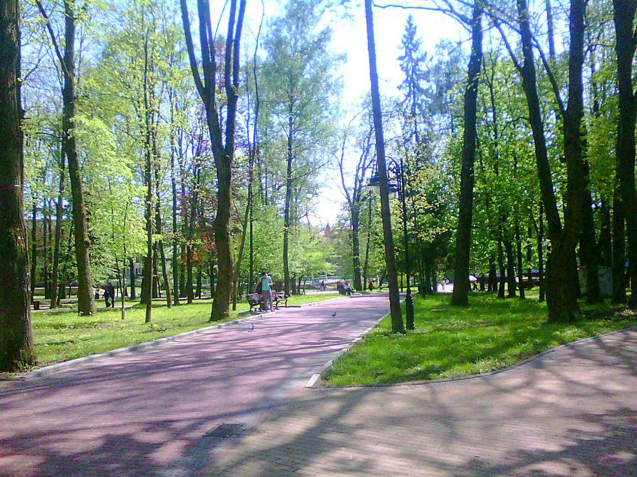 Парки - Моршин