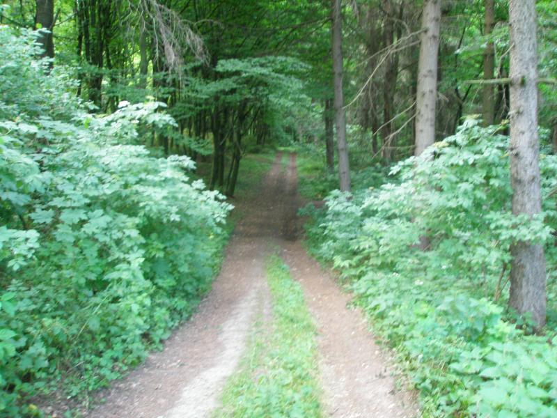 Збруч - Кокошинці