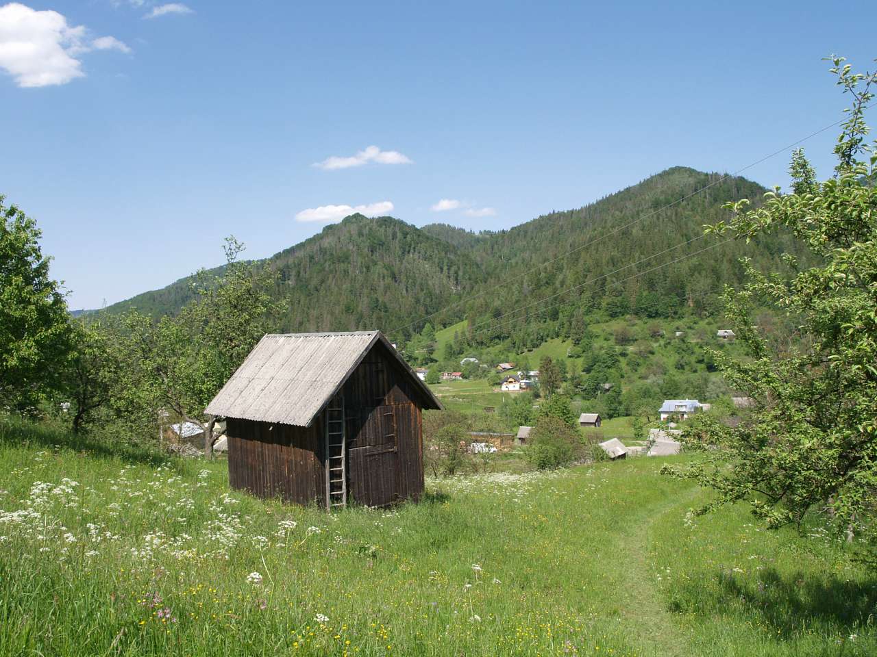 ЯВОРІВ КОСІВСЬКИЙ-ЦЕНТР ЛІЖНИКАРСТВА - Косів
