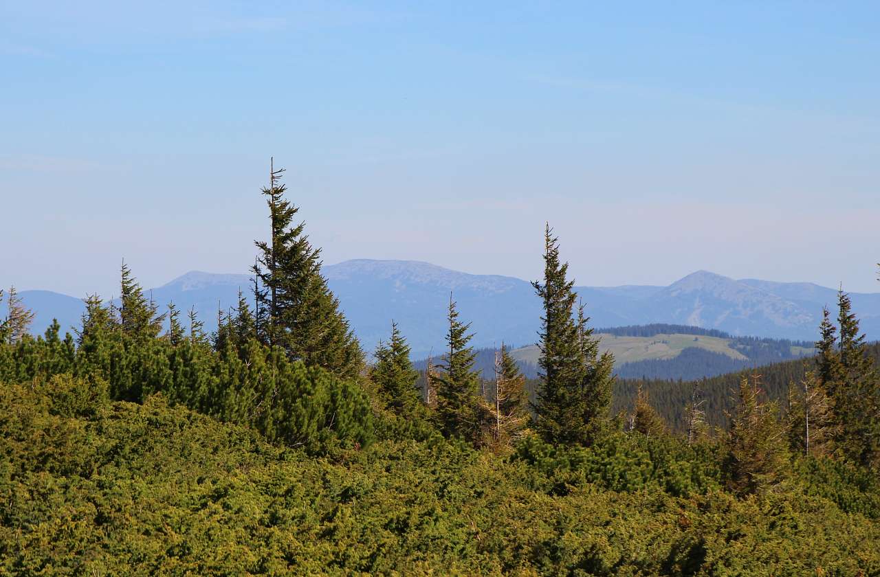 НА ГОВЕРЛІ - Луги