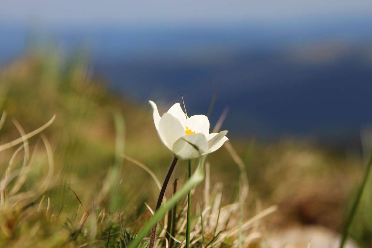 НА ГОВЕРЛІ - Lugy