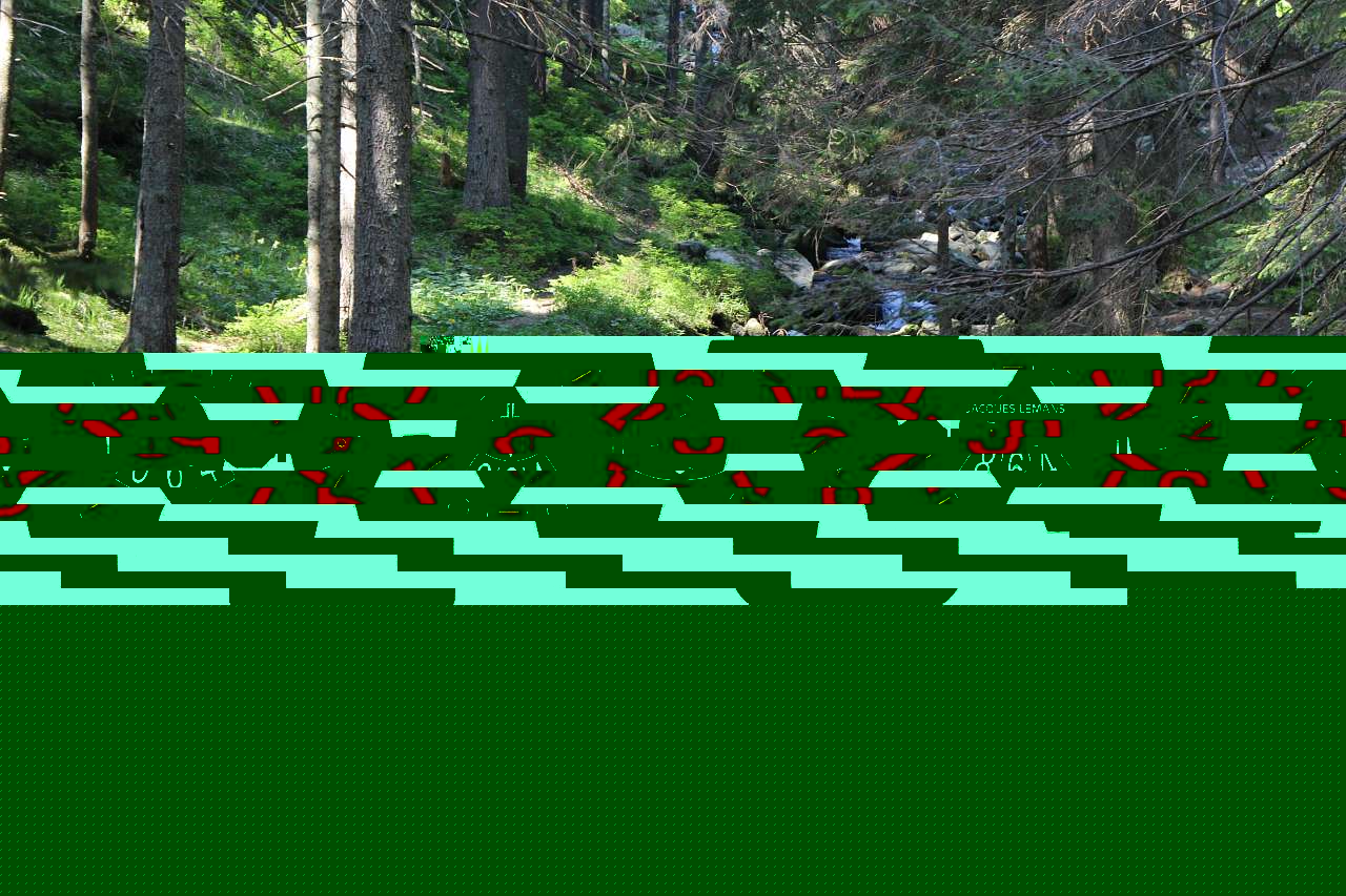 НА ГОВЕРЛІ - Луги