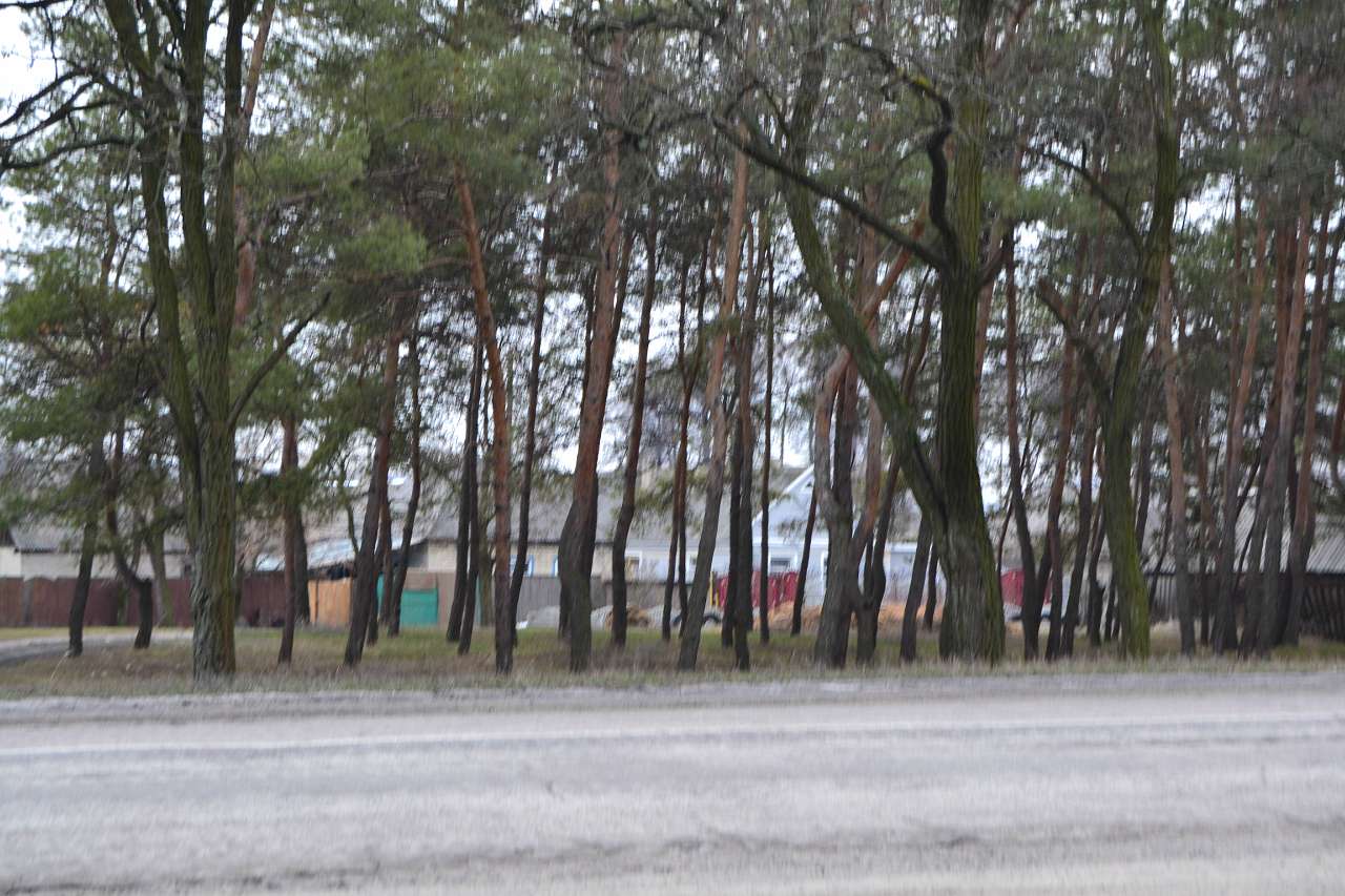 Моя любимая Краснянка - Стара Краснянка