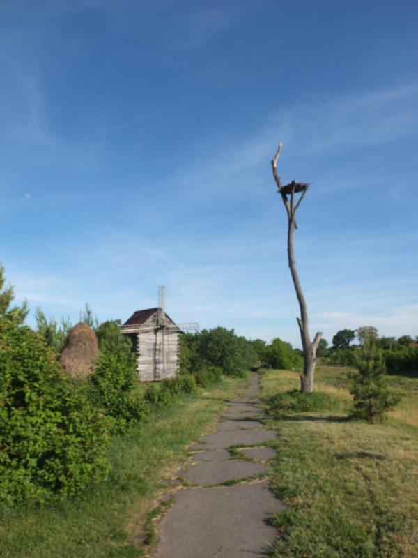Дзвони над Сулою - Мгарь