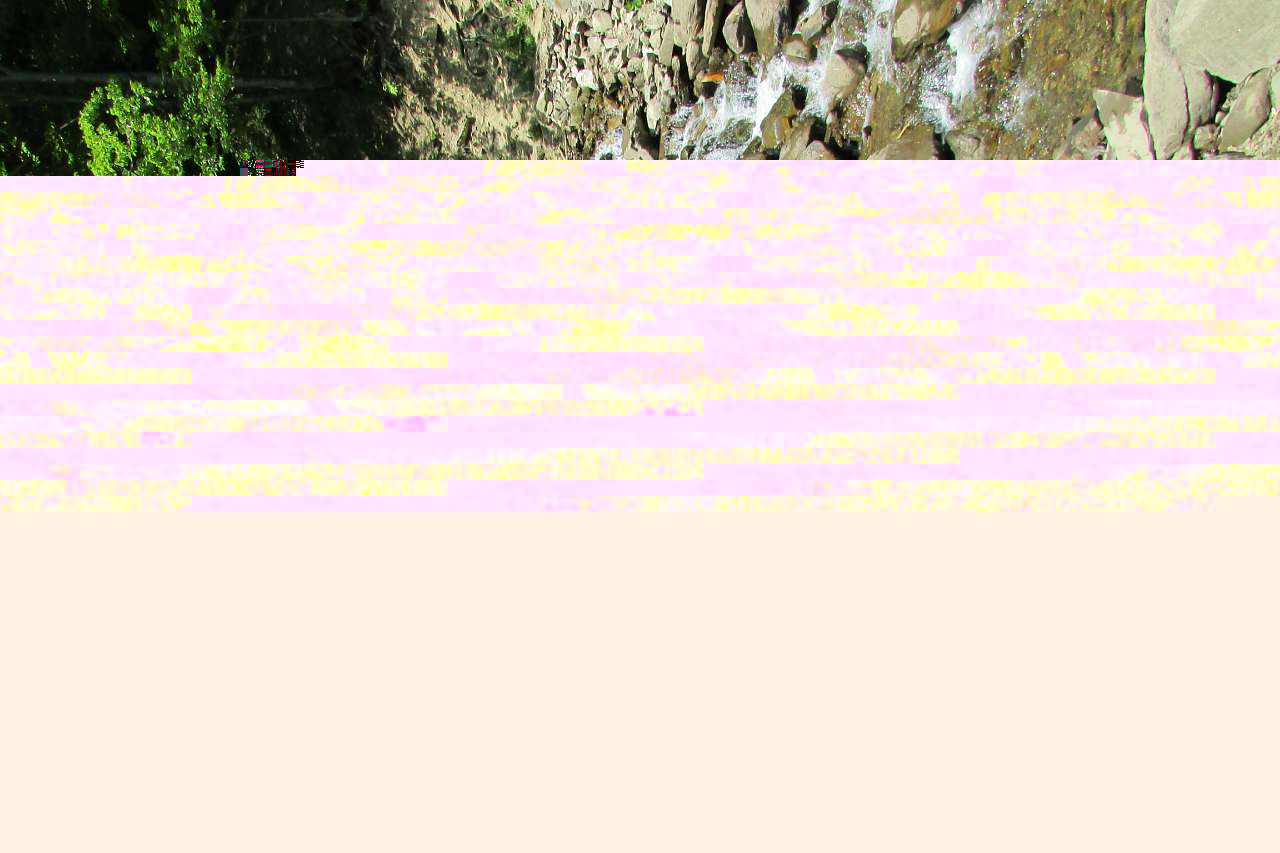 ВОДОСПАД ТРУФАНЕЦЬ - Ясіня