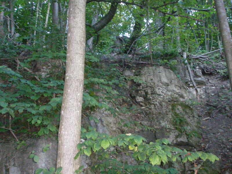 Збруч - Кокошинці