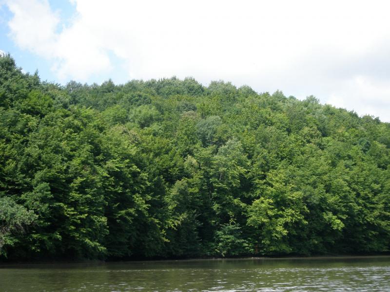 Збруч - Кокошинці