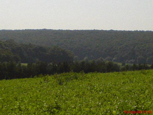 Збруч - Кокошинці