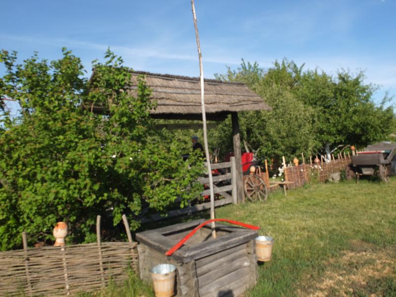 Дзвони над Сулою - Мгарь