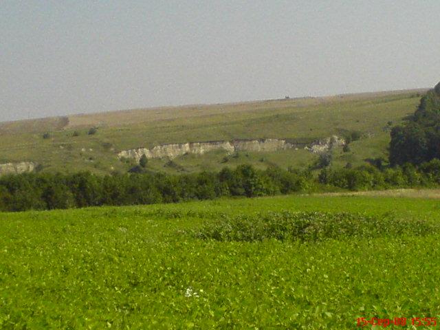 Збруч - Кокошинці