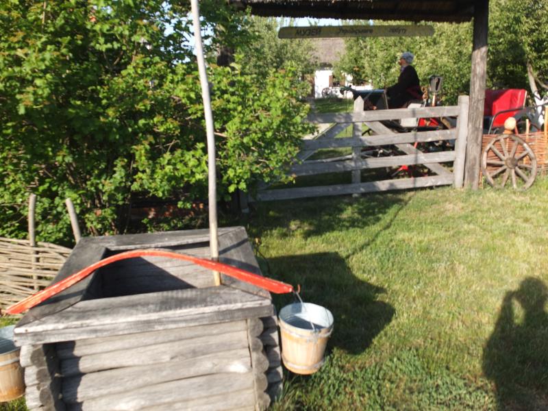 Дзвони над Сулою - Мгарь