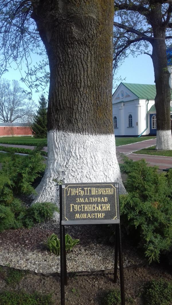 Густинський монастир - Густиня