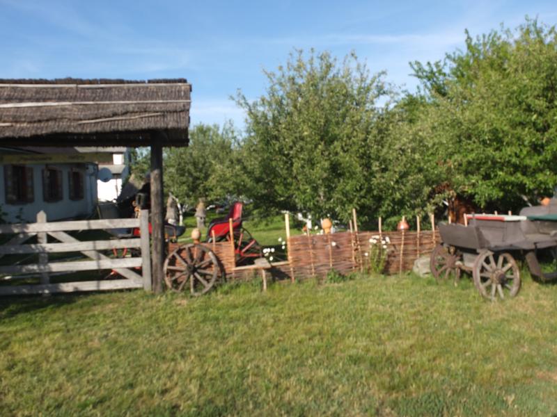 Дзвони над Сулою - Мгарь