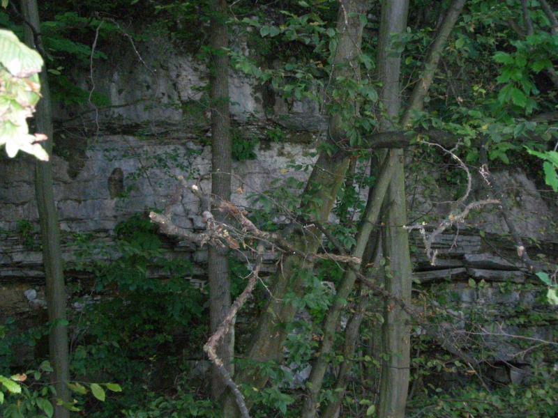 Збруч - Кокошинці