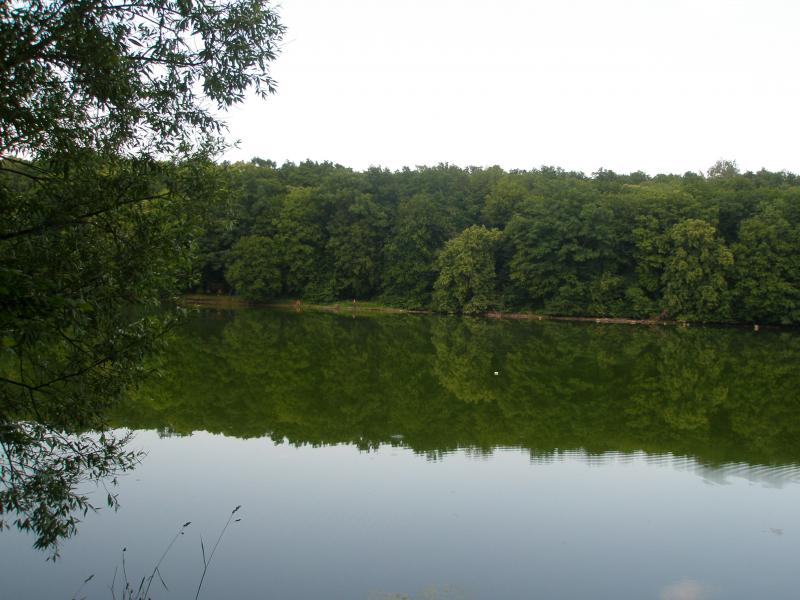 Збруч - Кокошинці