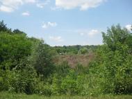 Природа Шаулихи