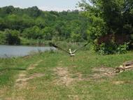 Природа Шаулихи