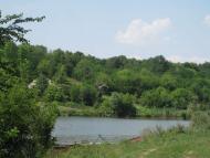 Природа Шаулихи