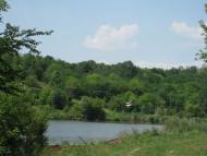 Природа Шаулихи