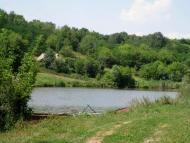 Природа Шаулихи