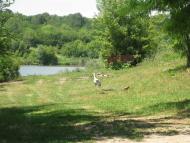 Природа Шаулихи