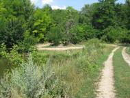 Природа Шаулихи