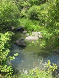 Природа Шаулихи