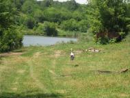 Природа Шаулихи