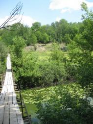 Природа Шаулихи