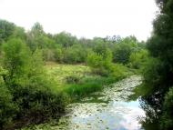 Природа Шаулихи