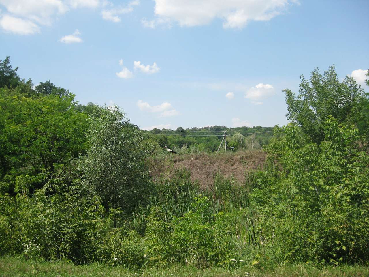 Природа Шаулихи - Шаулиха