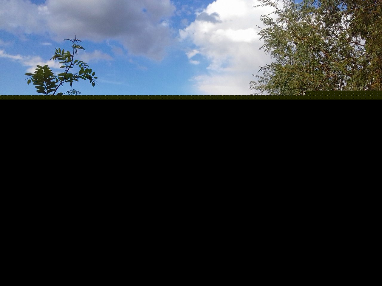 Приватна садиба 'Золотий якір' - Непоротове