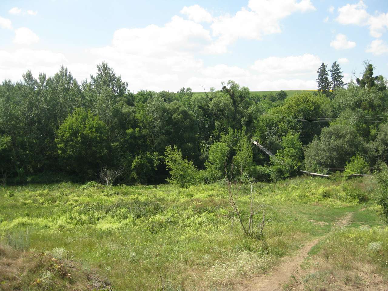 Природа Шаулихи - Шаулиха