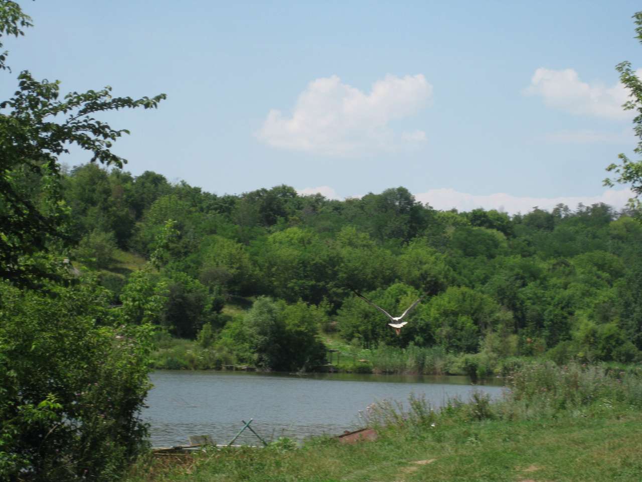 Природа Шаулихи - Шаулиха