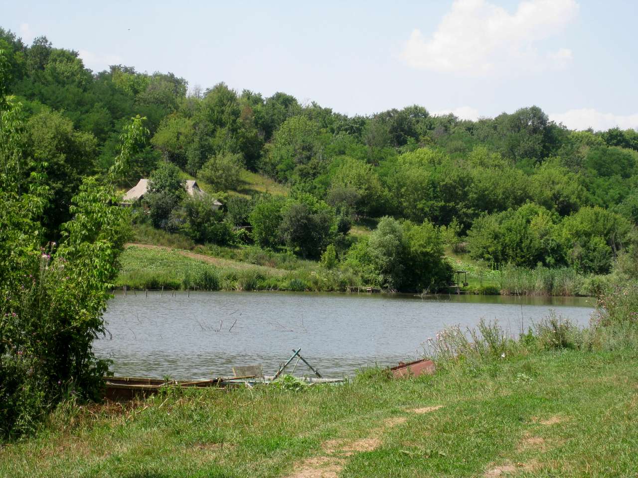 Природа Шаулихи - Шаулиха