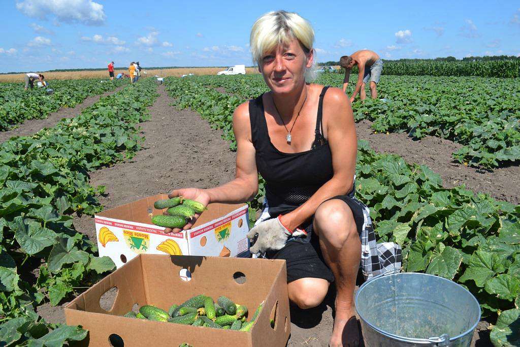 Водяне - Водяне