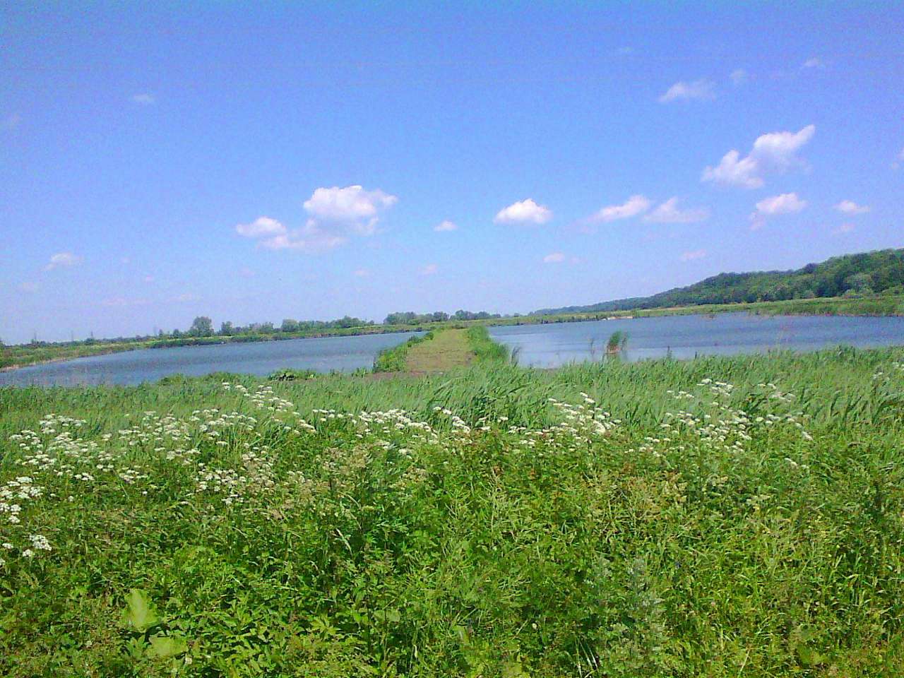 Стави - Стрелков