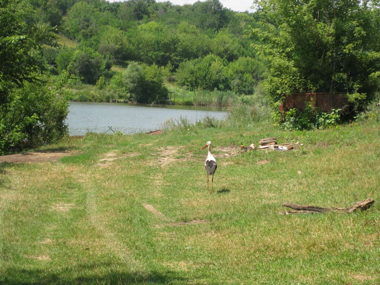 Природа Шаулихи - Шаулиха