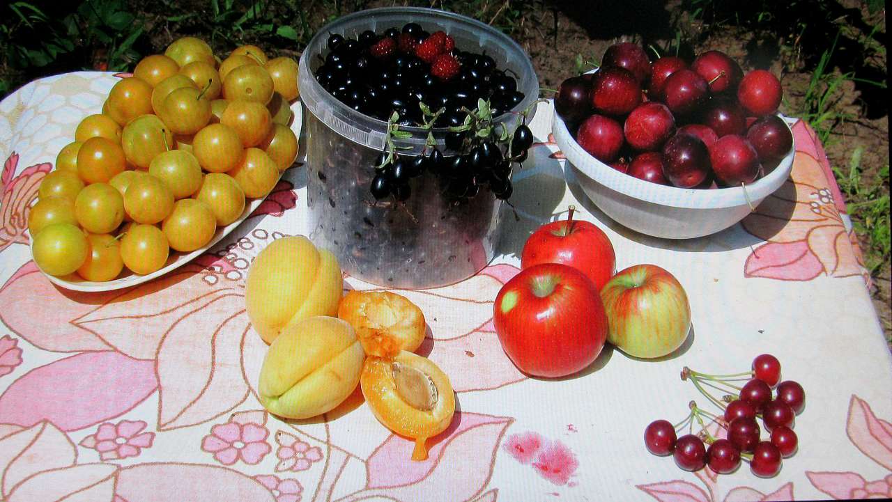 Червоногригорівка з panoramio.com - Червоногригорівка