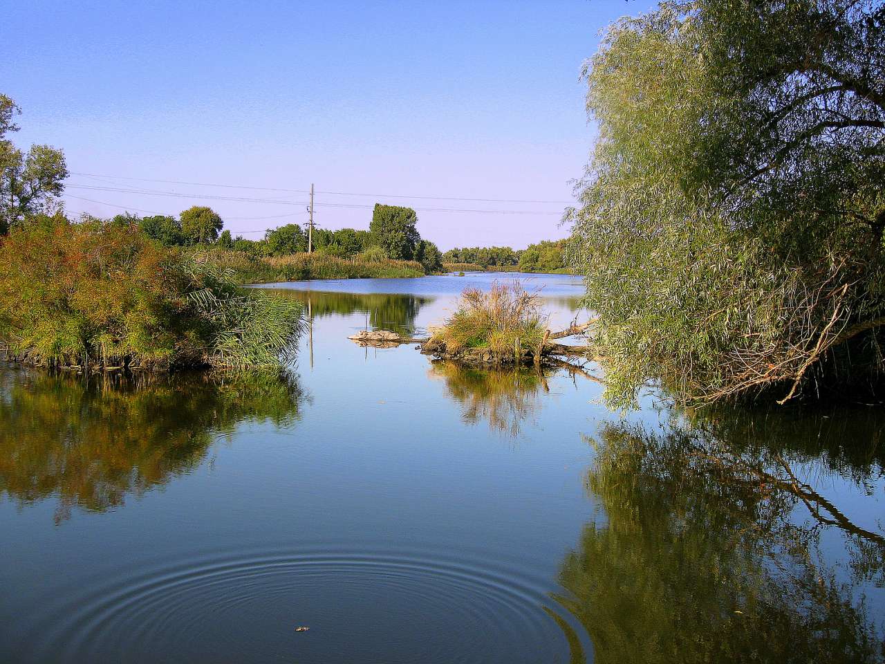 Червоногригорівка з panoramio.com - Червоногригорівка