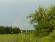 Селекційне - Останні фото