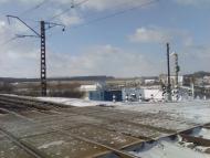 Селекційне - Останні фото