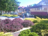 Прогулянка містечком