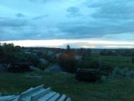 Селекційне - Останні фото